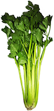 foto produto
