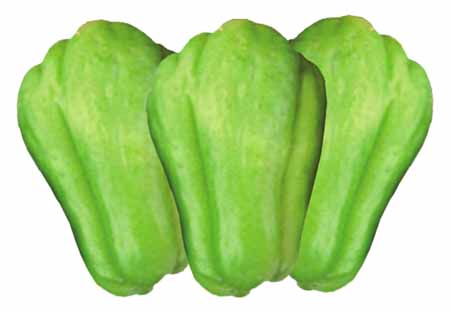 foto produto
