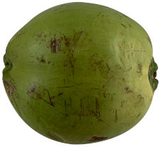 foto produto