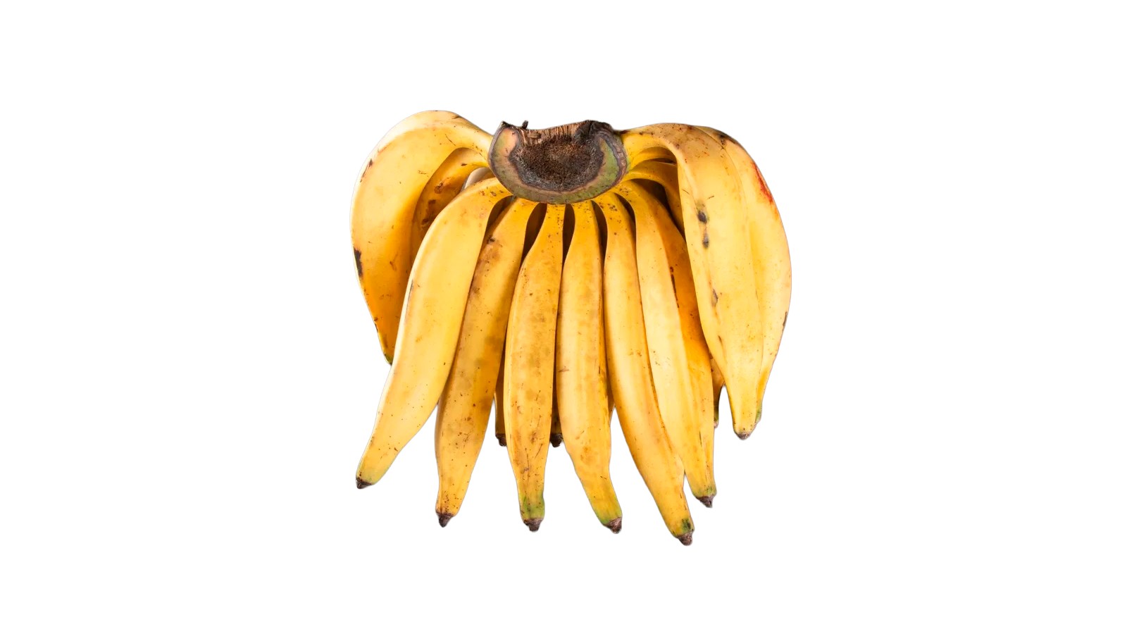 foto produto