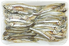 foto produto
